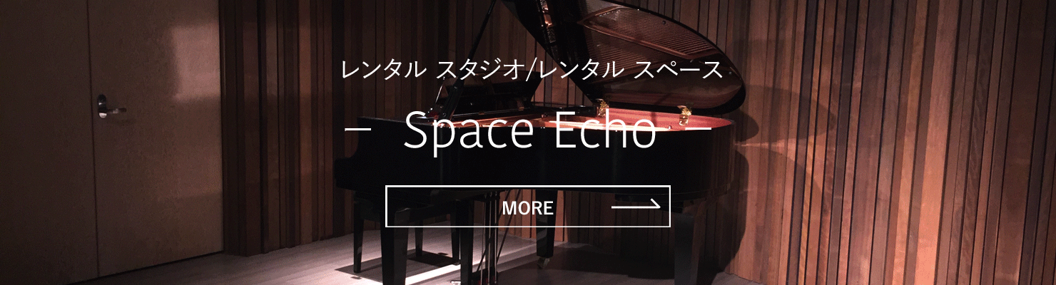 Space Echo